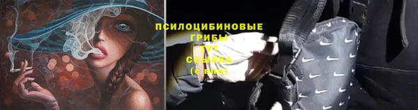 бошки Белоозёрский